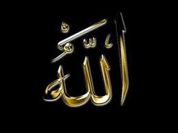 moulana tariq jameel