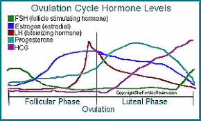 hormone level