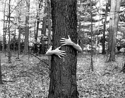tree huggers