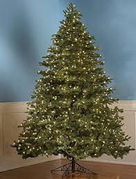 towson christmas trees