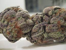 grape ape