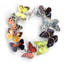 butterfly images