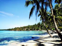 free beach wallpaper