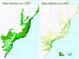 mata atlantica