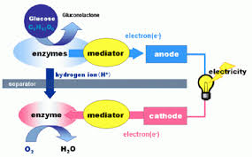 making electricity