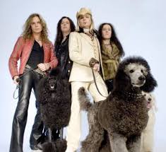 the poodles