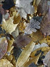 electroplated leaves