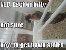 cat stairs