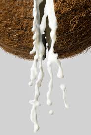 coconut milk recipes, rejuvenate naturally, natural health care