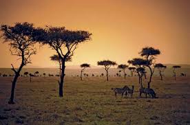 savanna climate
