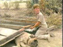 sandlot 1