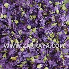 blue malva