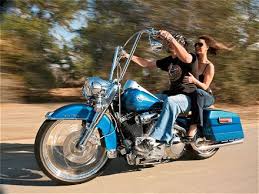 2005 road king
