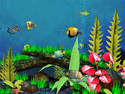 fish desktop