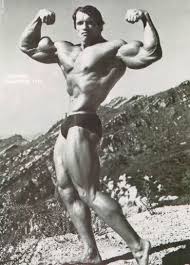 arnold weight lifting