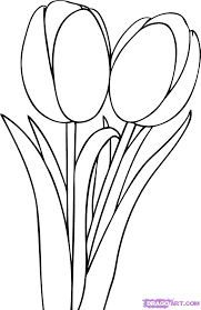how to draw tulips