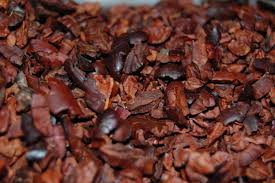 cocoa nib