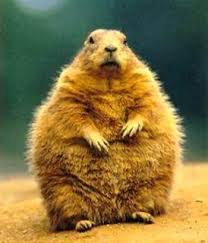 Where did Ground Hogs Day Come