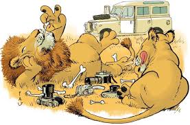 imagenes leones