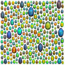 christopher marley insect art