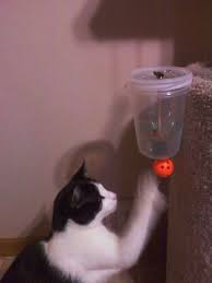 auto feeder