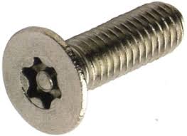 torx security screw
