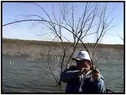 Falcon Lake, Zapata Texas,