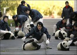 wolong nature reserve