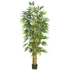 bamboo silk