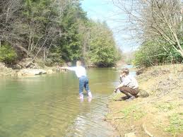 rainbow trout fishing