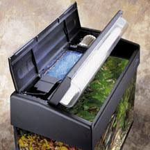 eclipse 3 aquarium