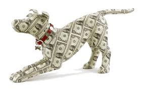 cut dog