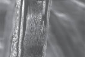 laser printable polyolefin shrink tubing