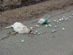 easter bunny 2010