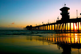 2007 california penal code online
