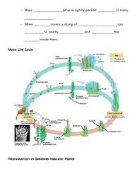 8th grade printable american history