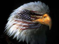 bald eagle flag