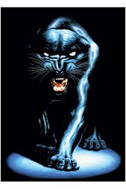 panther posters