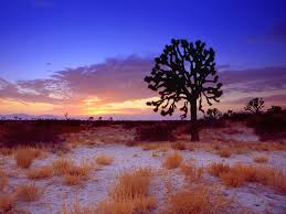 deserts of california