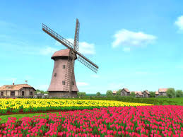 windmill