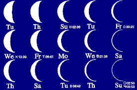 printable educational pretesting