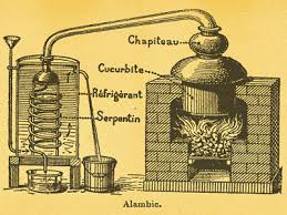 essential oil extraction