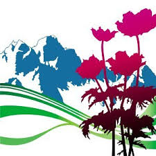 New Order - International