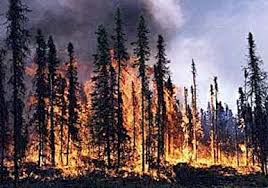 fire season