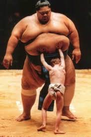 japan sumo