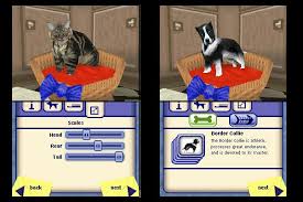nintendo ds sims 2 pets
