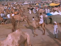 nagaur