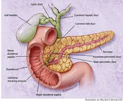 treating pancreatitis