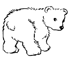 dibujo de oso