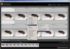 adobe lightroom cs4